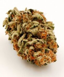 Lemon OG strain