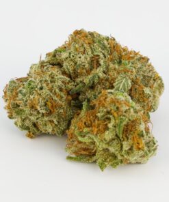 Bubble Gum Strain