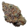 blackberry kush strain
