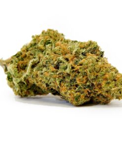 Mango Haze Strain