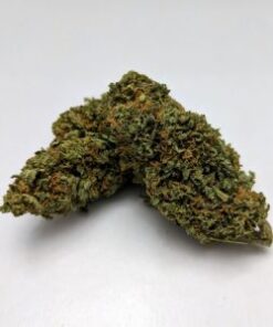 Blue Cheese strain