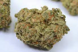 download 77 Platinum OG Kush
