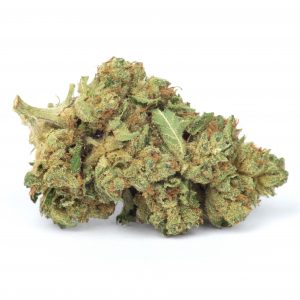 skywalker_OG-300x30 Skywalker OG