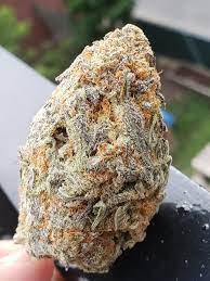cherry do si dos strain