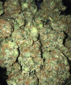 gorilla glue 4 strain