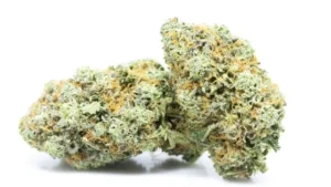 lemon diesel