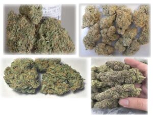 blue dream