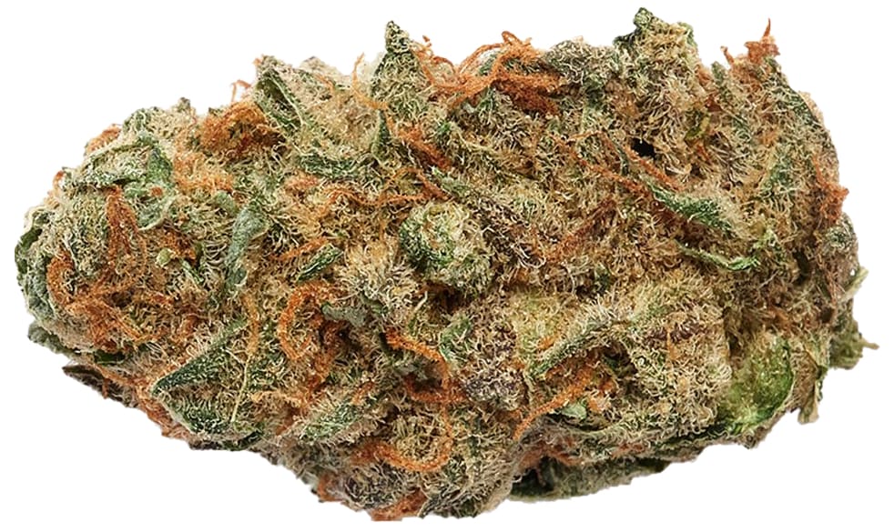 Blueberry Kush Strain