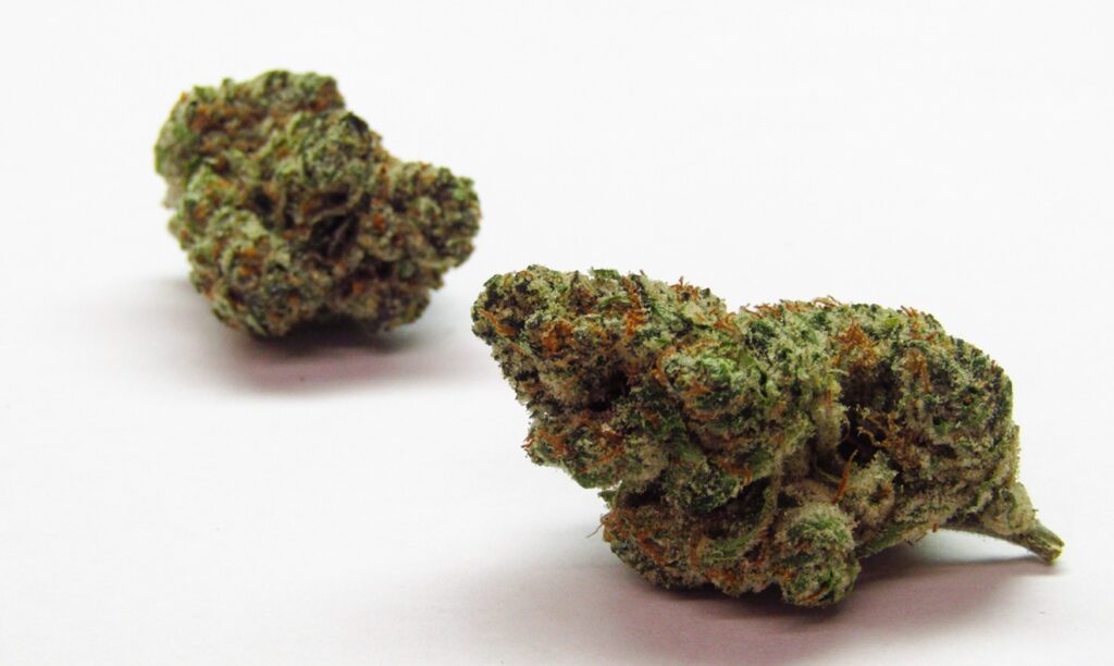 Cookies Strain