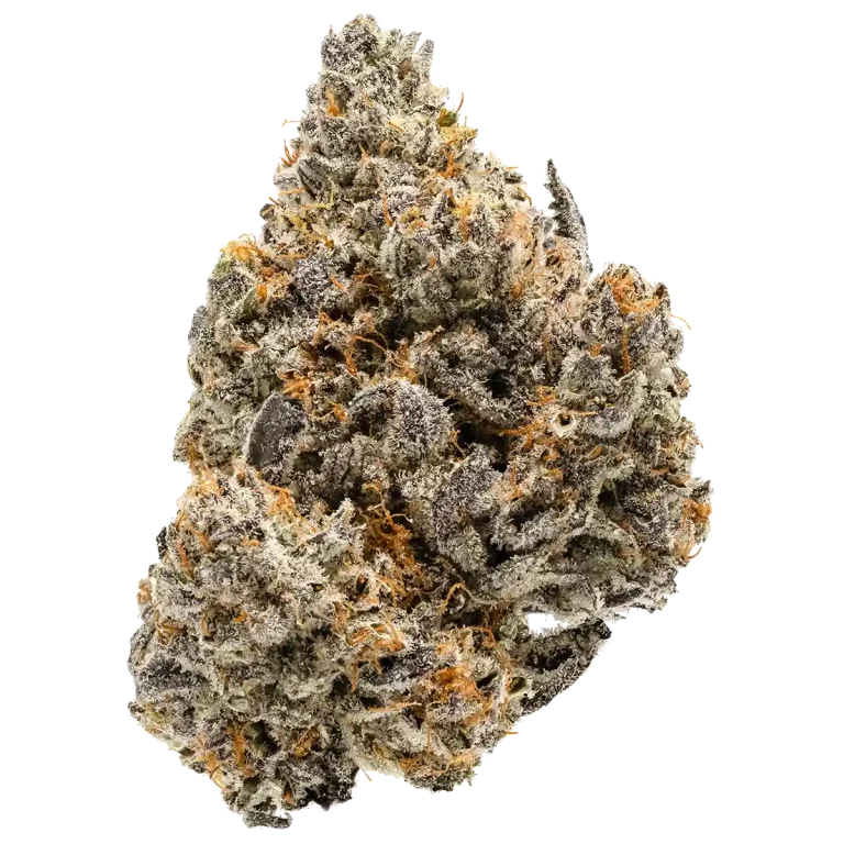 Girl Scout Cookies