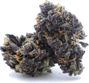 Granddaddy Purple
