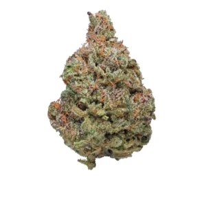 Afghan Kush Strain