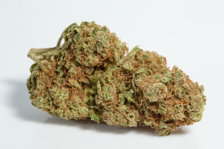 Afghani Strain