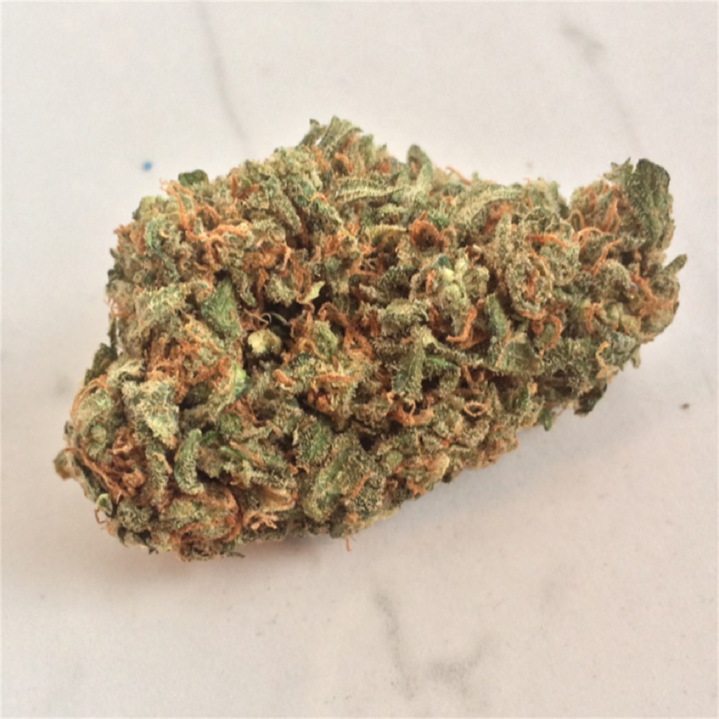 amnesia haze strain