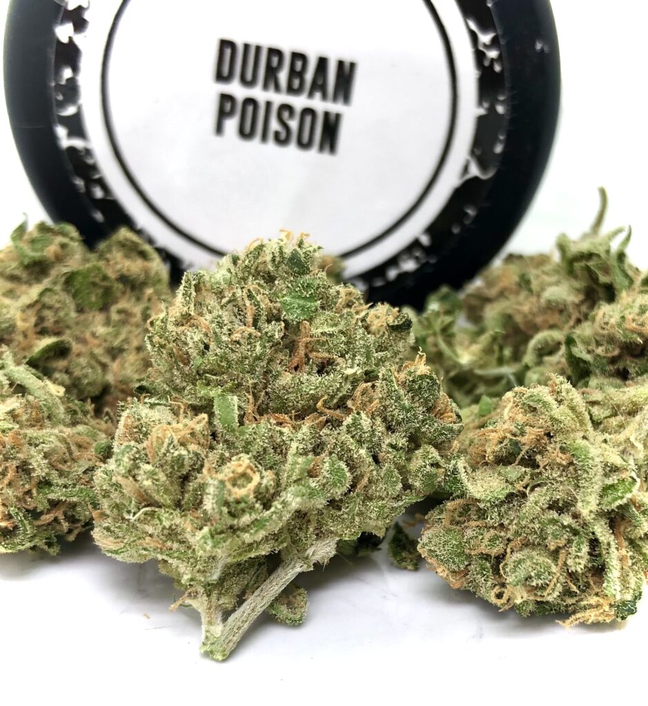 Durban poison