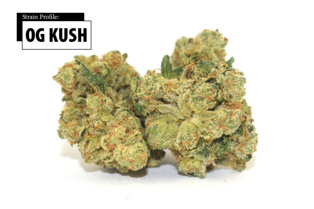Is OG Kush Sativa or Indica