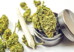 marijuana moment