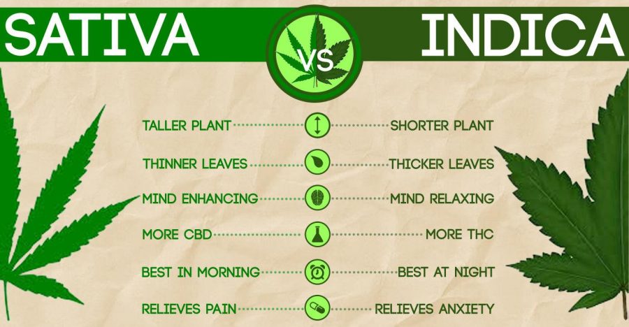 strains of weed